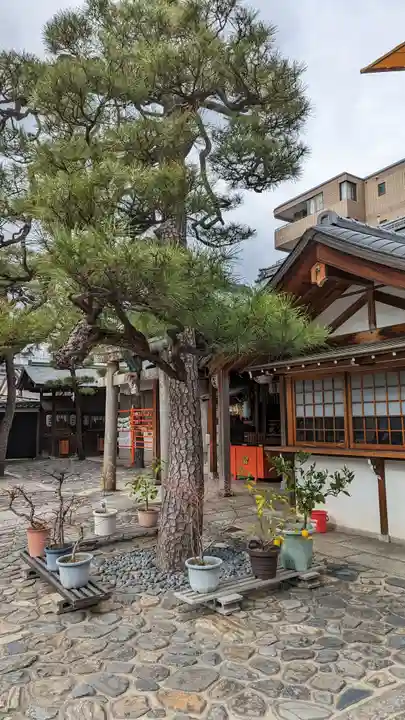 京都ゑびす神社(京都府)