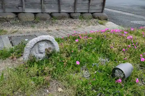 四季桜の寺 妙乗院(愛知県)