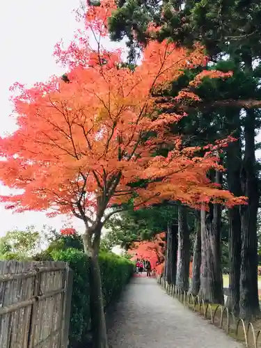 毛越寺の自然