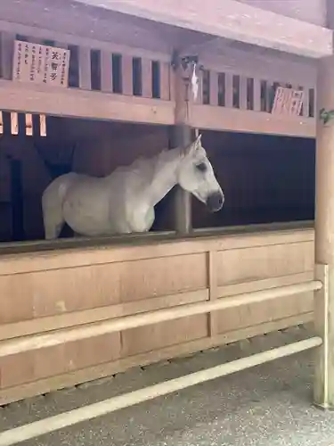 伊勢神宮外宮（豊受大神宮）(三重県)