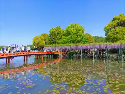 津島神社の周辺