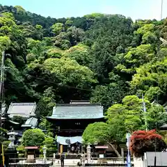 臨済寺の建物その他