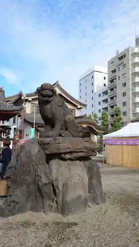 浅草神社の狛犬