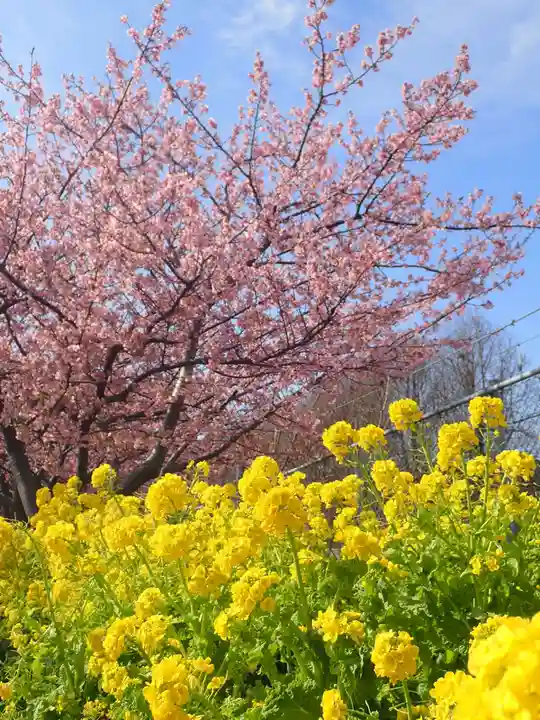 海南神社(神奈川県)