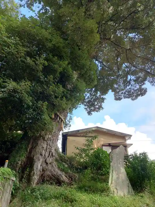 日枝神社(静岡県)