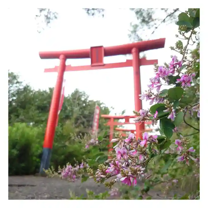 岐阜稲荷山本社の鳥居