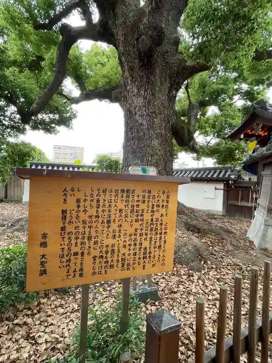 大聖観音寺(あびこ観音)の自然