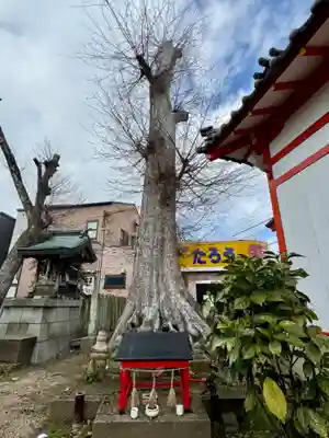 粟津天満神社(兵庫県)