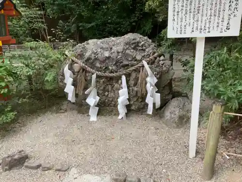 賀茂御祖神社（下鴨神社）の自然