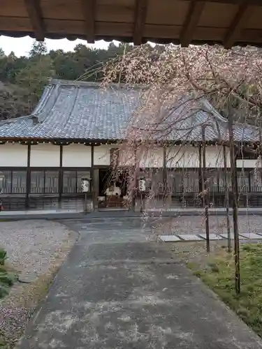 西光寺(埼玉県)