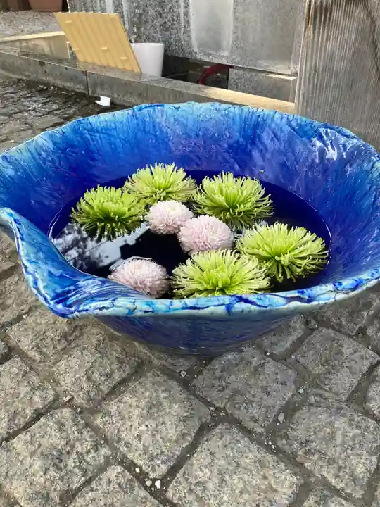 川越八幡宮(埼玉県)