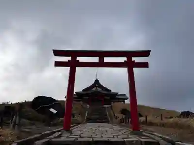 箱根元宮の鳥居