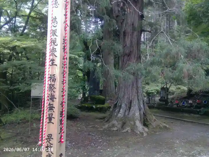 法雲寺(埼玉県)