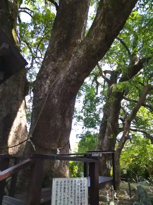 藤白神社(和歌山県)