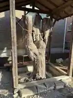 五香稲荷神社(千葉県)