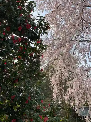 足羽神社(福井県)
