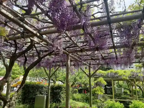 亀戸天神社(東京都)