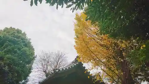 八坂社（桜木）の景色