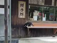 八幡社(柏井町)の動物