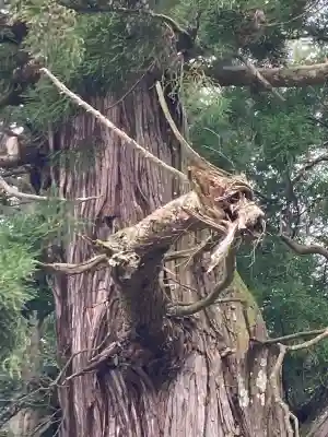 高岡神社(岡山県)