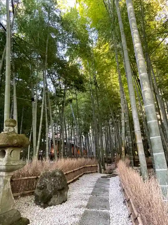 報国寺(神奈川県)