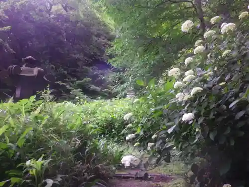 安國論寺（安国論寺）の自然