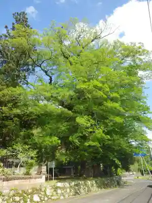 八幡宮(山口県)