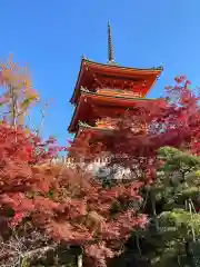 清水寺(京都府)