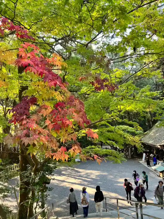 大神神社(奈良県)