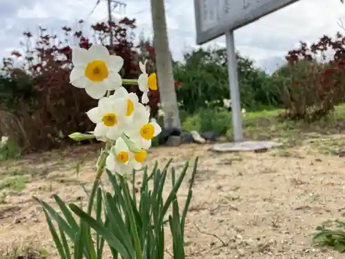 岬大明神の自然