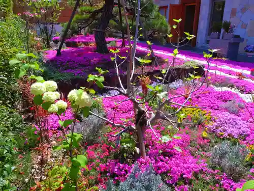 寿量山　速成寺の自然