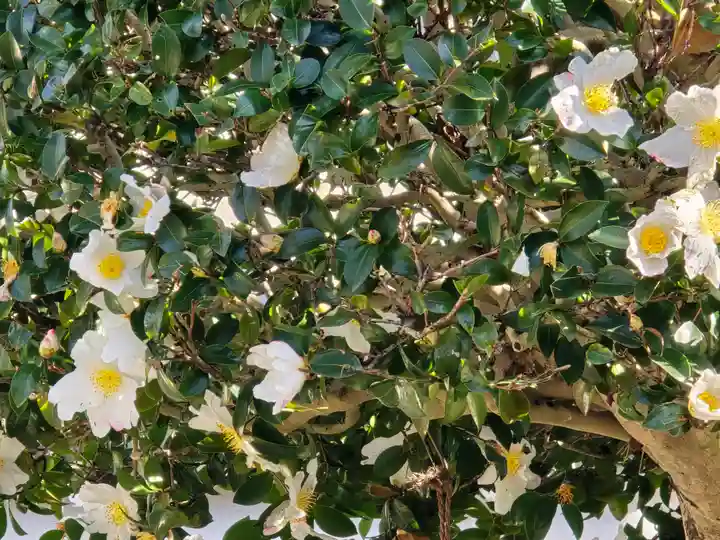 月光寺(大阪府)