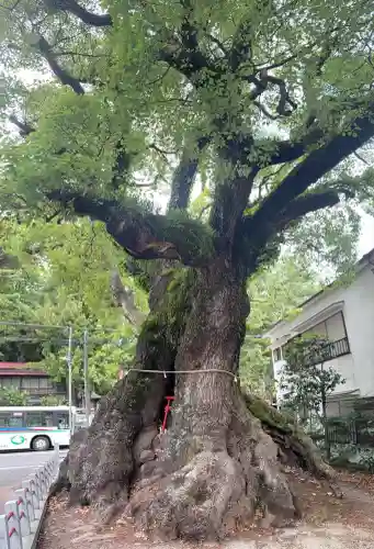 五所神社(神奈川県)
