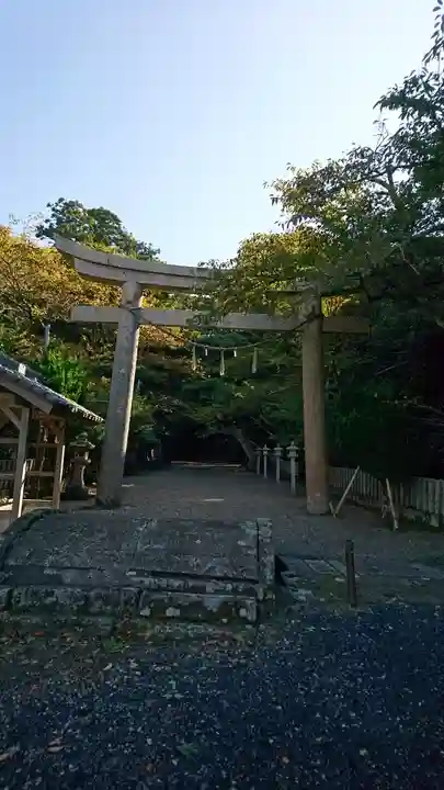 竹野神社の鳥居