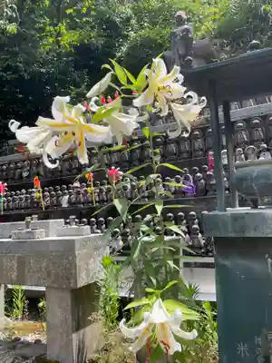 国上寺(新潟県)