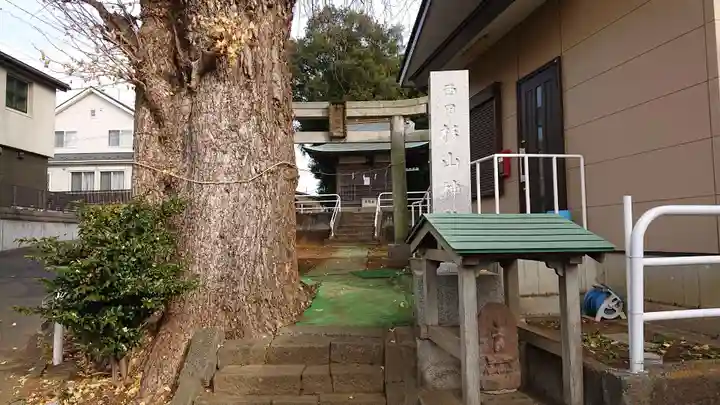 杉山神社(東京都)