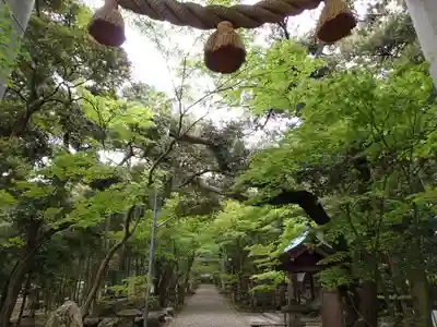 気多御子神社の自然