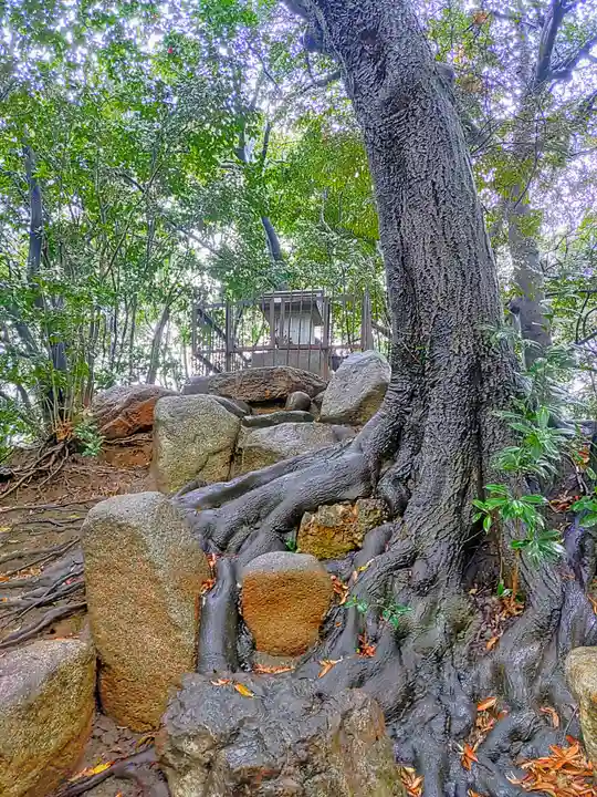 長母寺のその他建物