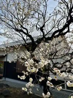 福泉寺(神奈川県)