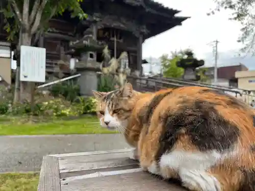 秩父札所十三番 慈眼寺(埼玉県)