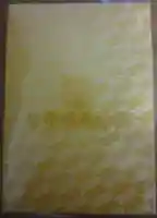 皆中稲荷神社の御朱印帳