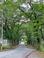 千ケ瀬神社(東京都)
