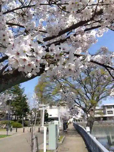 福井神社(福井県)