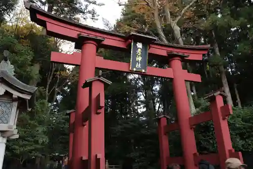 彌彦神社の鳥居