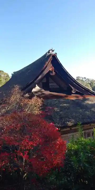常樂寺の本殿・本堂
