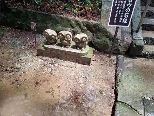 鷲子山上神社の狛犬