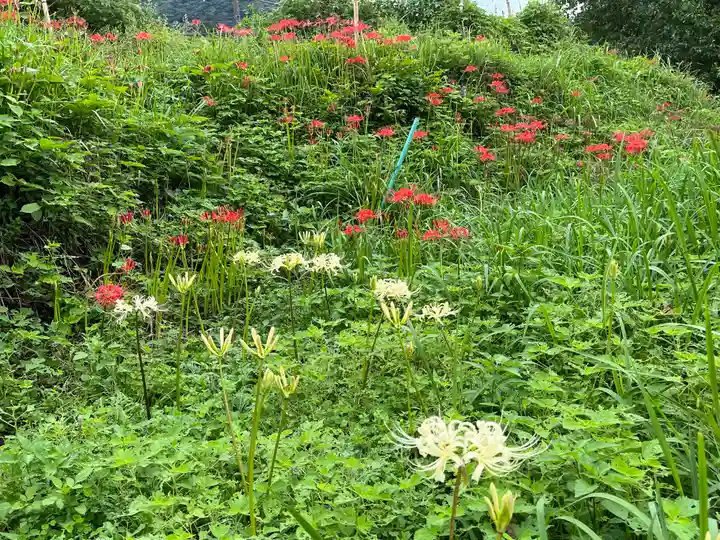 宝城坊(神奈川県)
