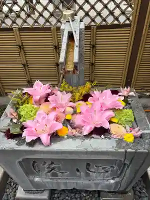 永代寺の{uncategorized: "未分類", other: "その他", undefined: "問題あり", building: "その他建物", grave: "お墓", sacred_gate: "鳥居", guardian: "狛犬", statue: "像", buddha: "仏像", history: "歴史", nature: "自然", garden: "庭園", animal: "動物", pagoda: "塔", temizu: "手水舎", mountain_gate: "山門・神門", sanctuary: "本殿・本堂", subordinate: "末社・摂社", art: "芸術", scenery: "景色", jizo: "地蔵", ema: "絵馬", goshuin: "御朱印", omikuji: "おみくじ", items: "授与品その他", amulet: "お守り", goshuincho: "御朱印帳", eats: "食事", festival: "お祭り", votive_dance: "神楽", shichigosan: "七五三参", wedding: "結婚式", experience: "体験その他", initially: "初詣", around: "周辺", anti_infection: "感染症対策"}