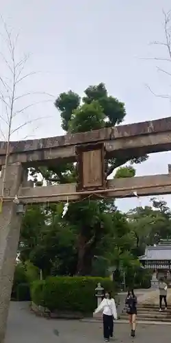 羽束師坐高御産日神社の鳥居