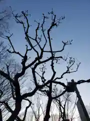 銀世界稲荷神社の自然